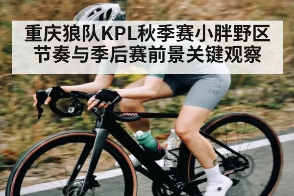 重庆狼队KPL秋季赛小胖野区节奏与季后赛前景关键观察
